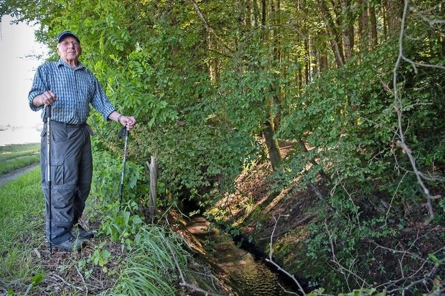 Das Fischsterben bleibt ungesühnt Berner Oberländer