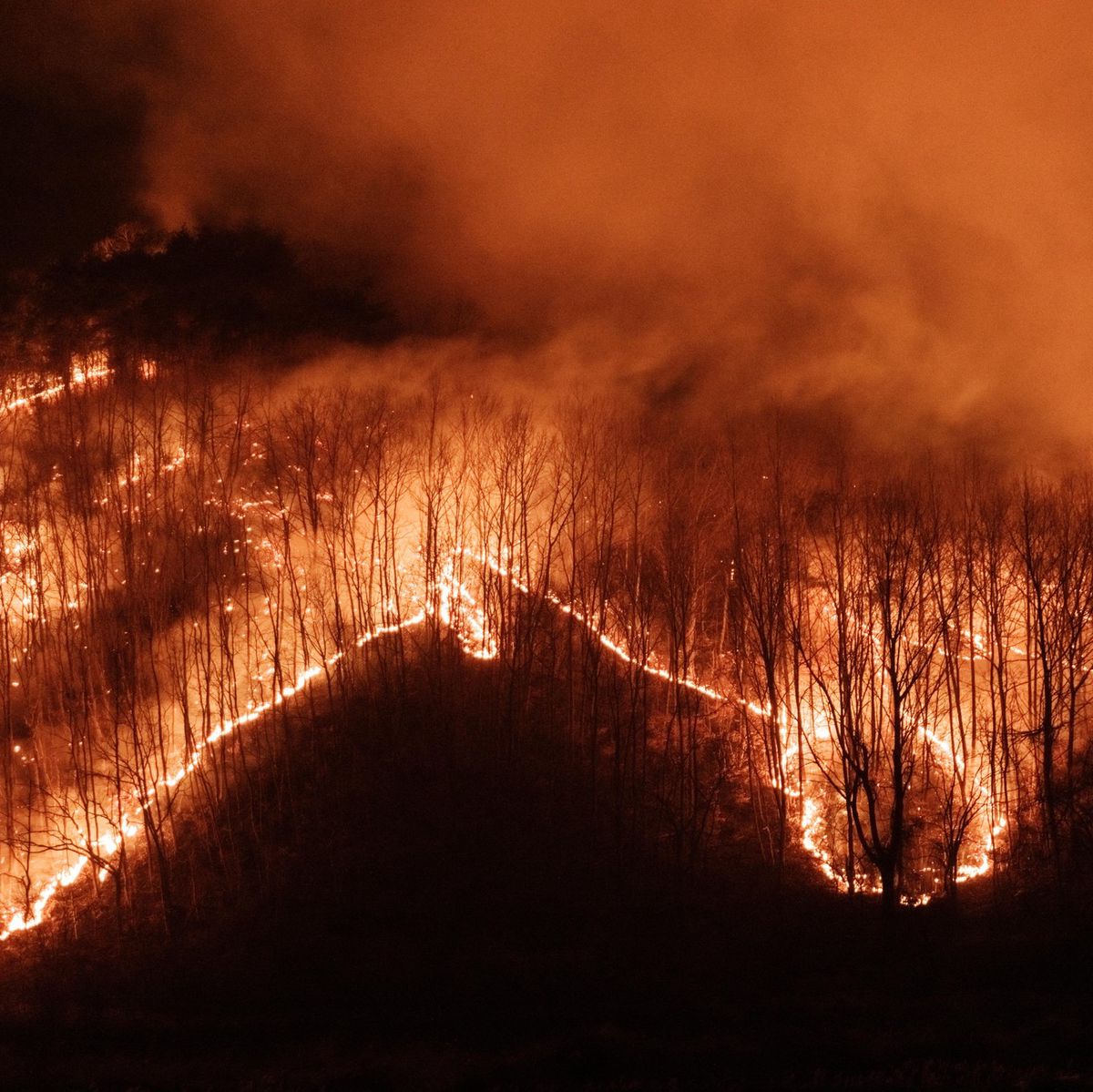 Incendies de forêt se propageant le long des pentes montagneuses à Uiseong, en Corée du Sud, le 24 mars 2025.