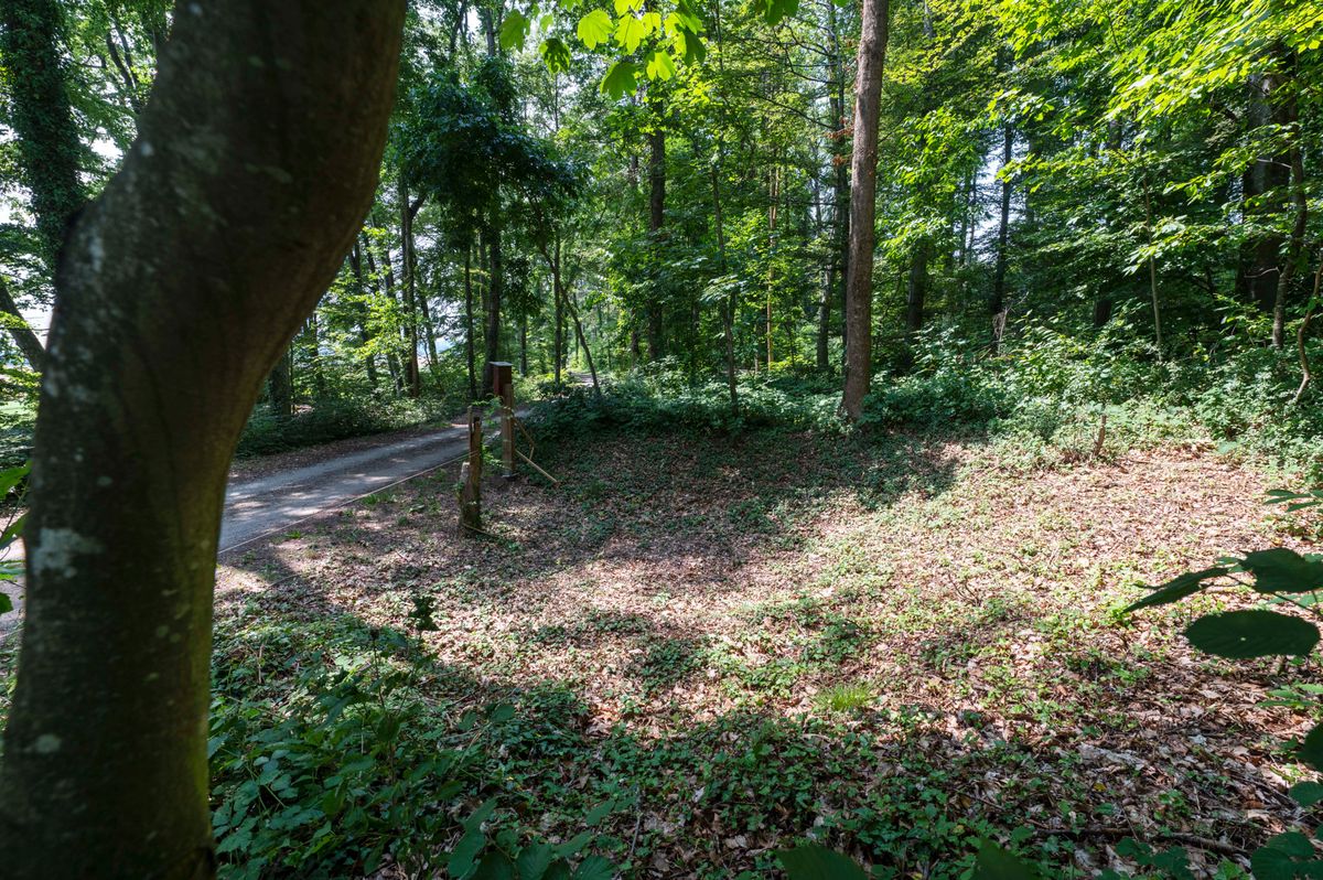 Dans la forêt surplombant Praratoud. un cratère régulièrement débroussaillé témoigne de l’explosion de la bombe britannique.