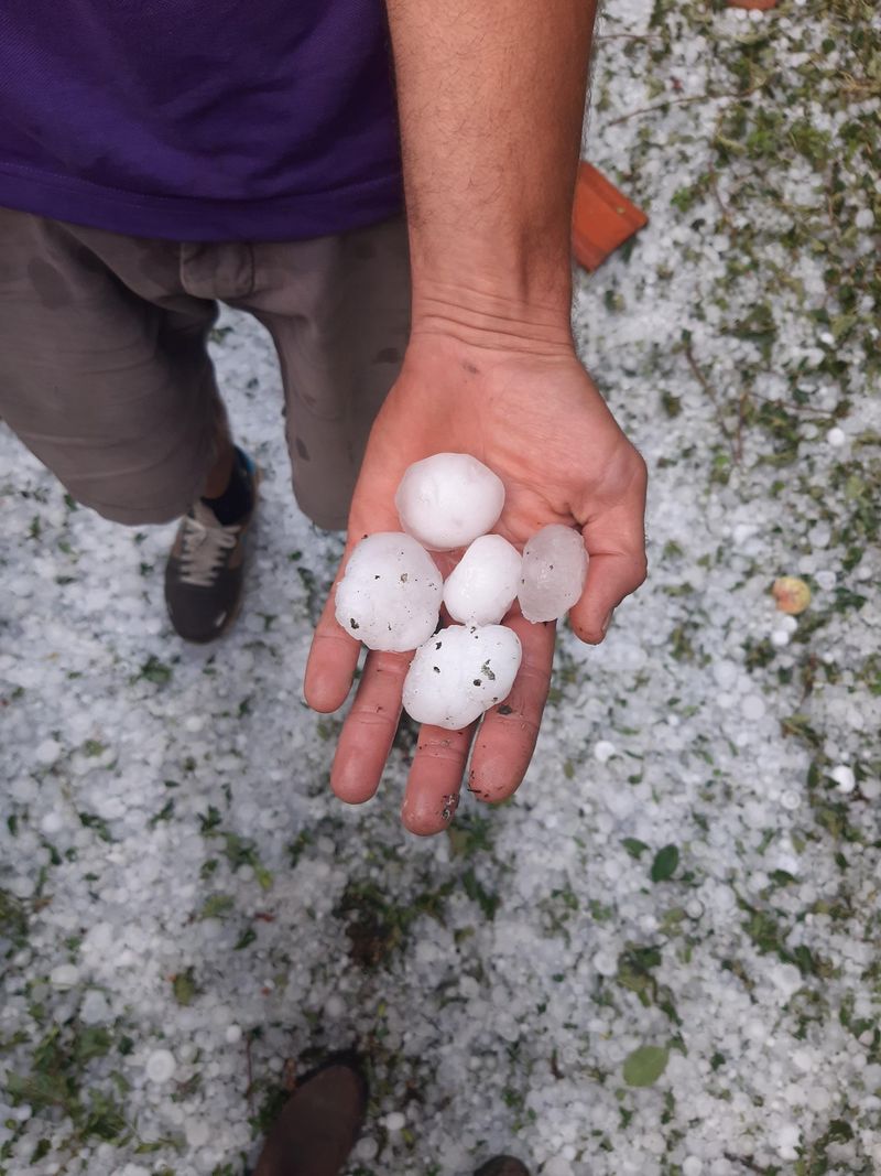 De gros grêlons sont tombés dans le secteur de Choulex et Meinier.