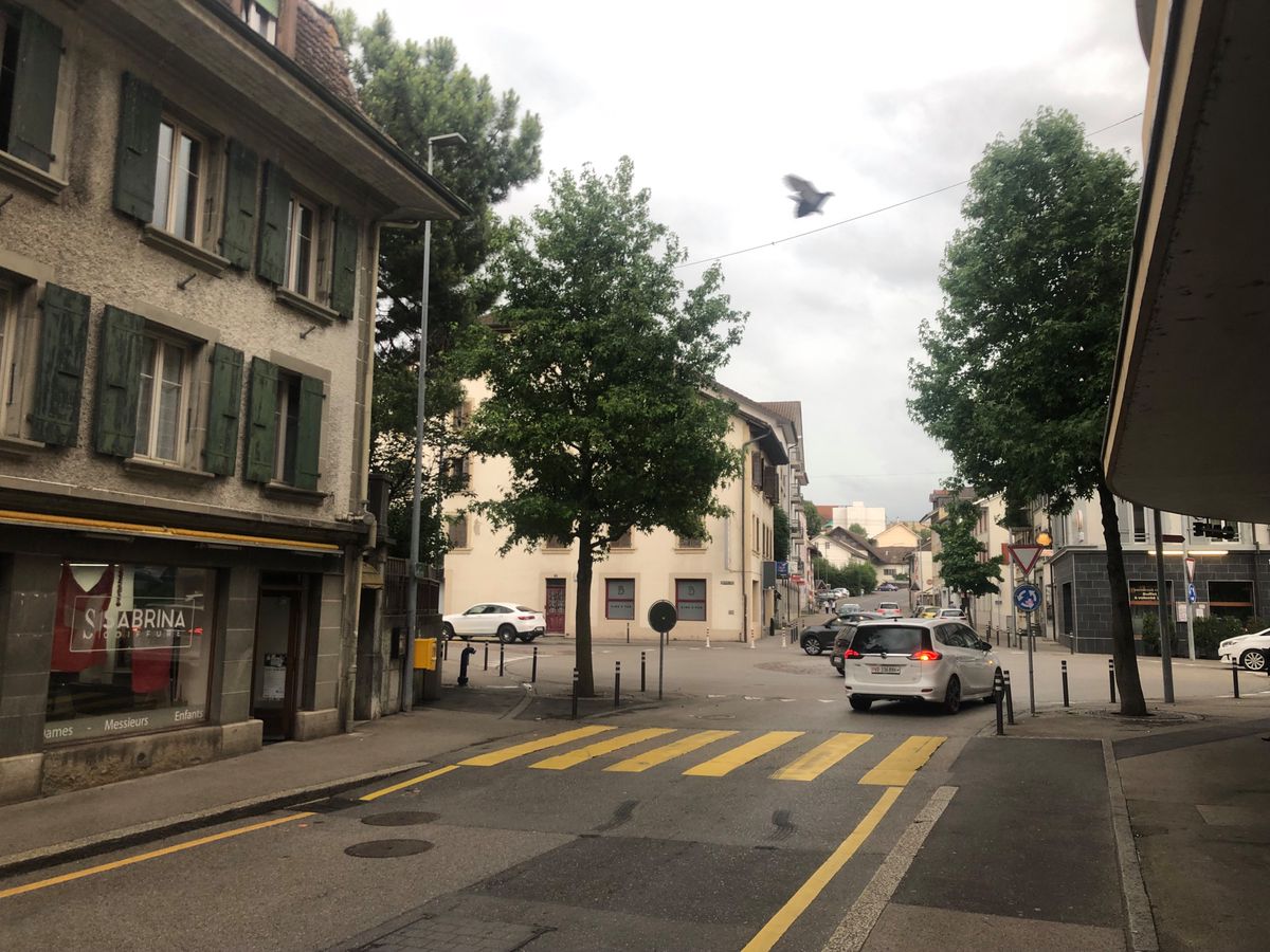 Un supporter vaudois s’explose le bras après le match de l’Euro