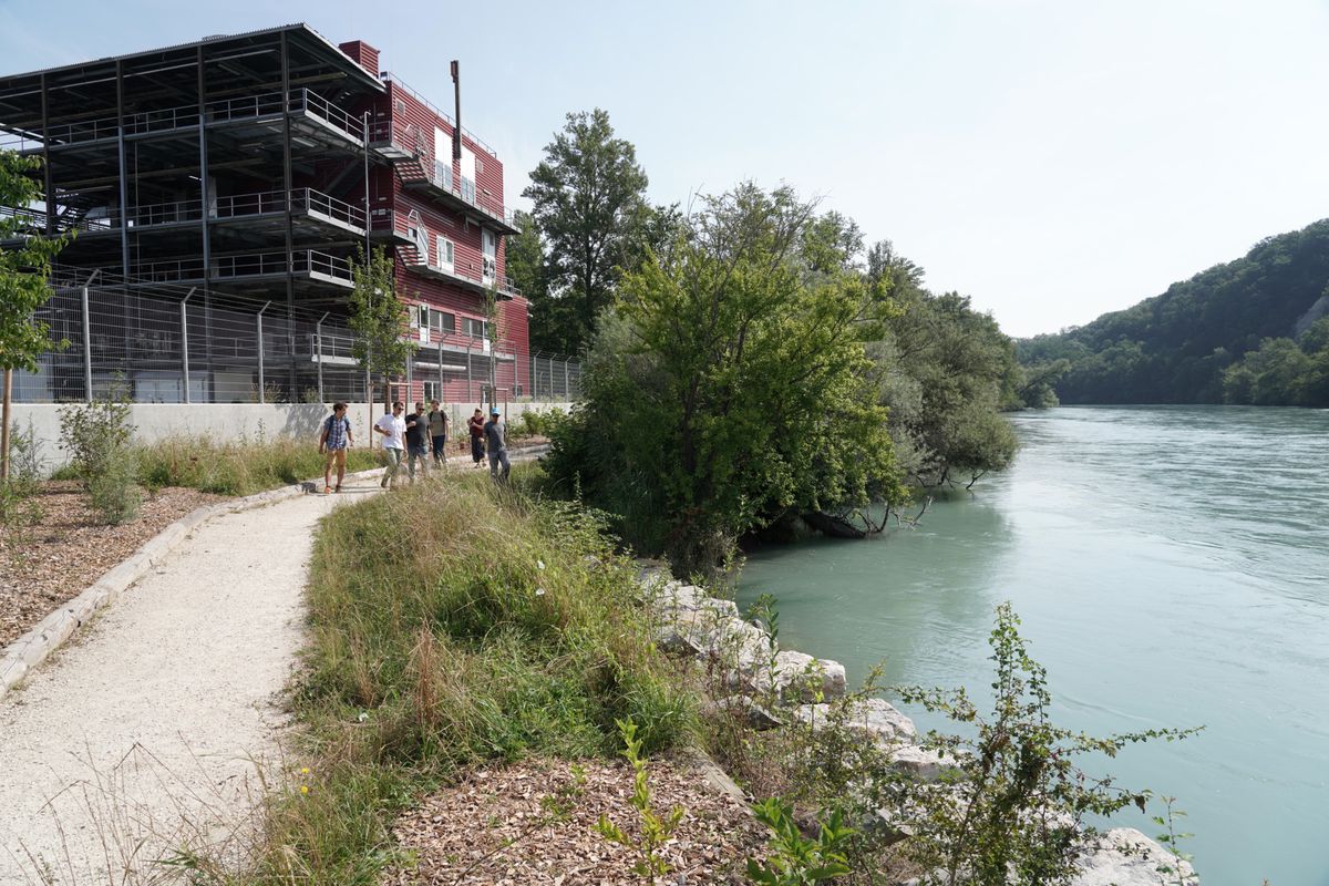 Dardigny, le 30/07/2024 - Travaux d'aménagements environnementaux: le site Firmenich au bord du Rhône.