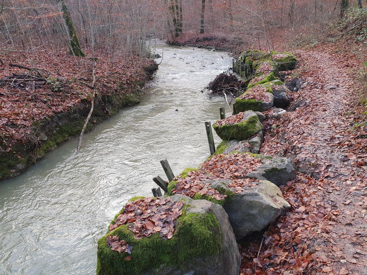 Le cours d’eau du Boiron se balade sur plus de 14 kilomètres et plusieurs communes doivent se pencher sur le réaménagement des berges notamment.