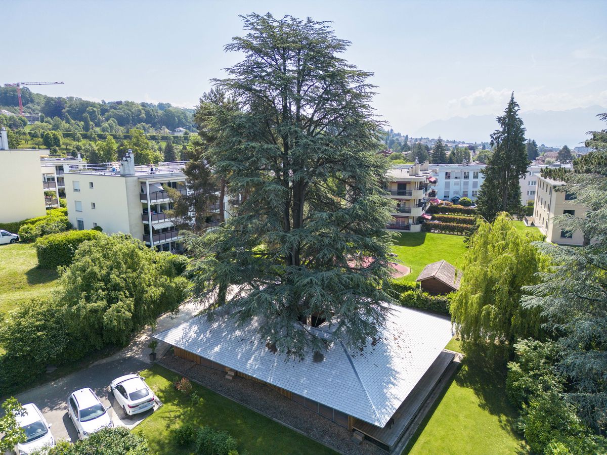 Jouxtens-Mézery  LE 2 juin  2023. Une maison construite autour d'un arbre, ( cèdre) .  © 