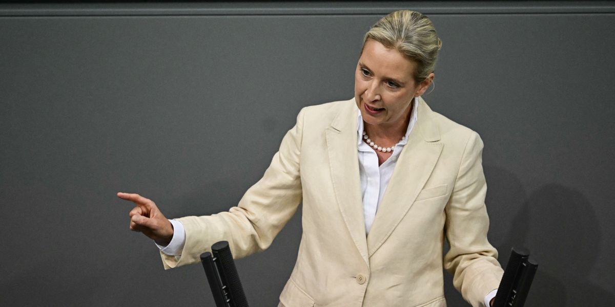 AfD-Chefin Weidel nennt Merz «Lügenkanzler» | Tages-Anzeiger