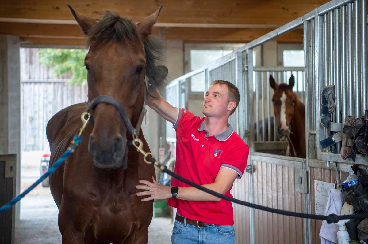 Robin Godel, champion de Suisse et membre de l’équipe nationale, aux petits soins de Grandeur de Lully, dans les écuries d’Avenches