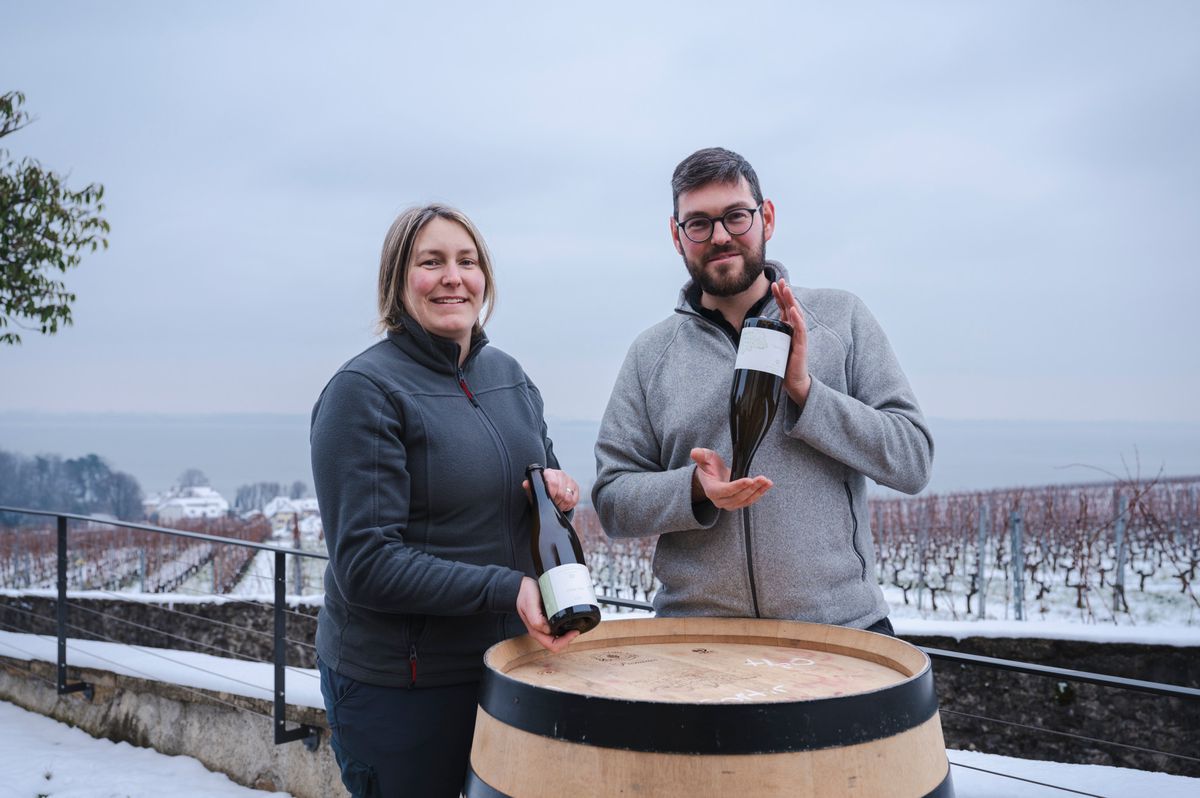 Cortaillod, le mercredi 10 janvier 2024. Le 3e mercredi de janvier, c'est le chasselas nouveau dans le canton de Neuchâtel. Le "Nonf", chasselas non filtré et primeur, ne peut pas être vendu avant cette date, selon un arrêté cantonal. Histoire de cette tradition chez la famille Porret, avec les frères et soeur Martin et Sophie. (Marie-Lou Dumauthioz/24heures) 