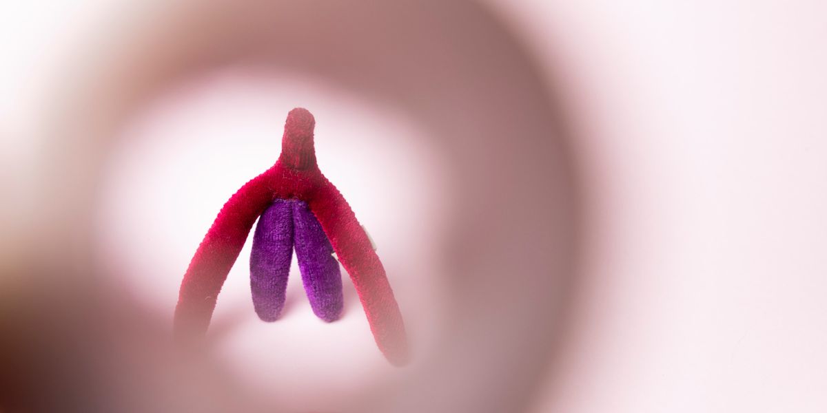 Lustzentrum-der-Frauen-Die-Klitoris-ist-viel-gr-sser-als-vermutet-und-zehnmal-empfindlicher-als-der-Penis