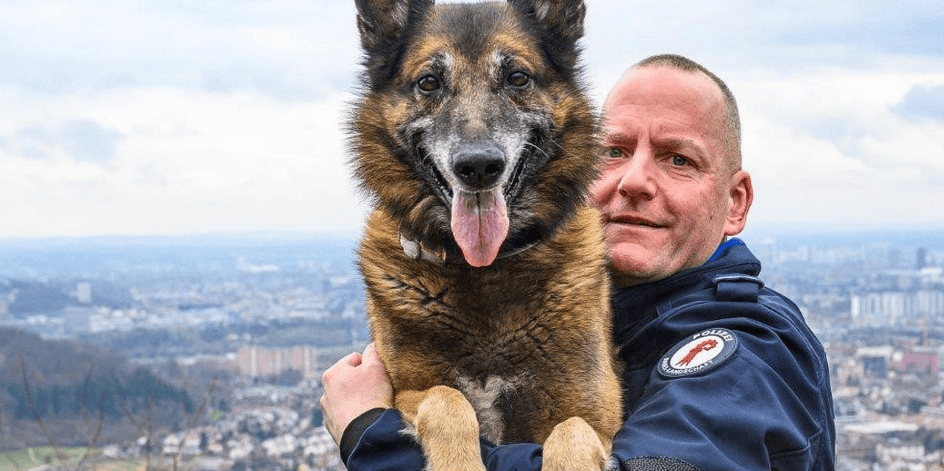バーゼルビーター警察：探知犬ジオ・ゴードンが「早期退職」