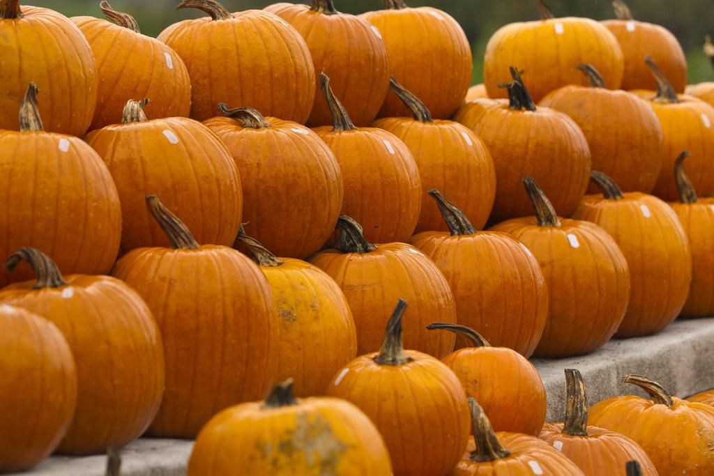 Le potimarron est une variété particulière de courge, à l’arôme de marron, et qu’il n’y a pas besoin de peler s’il est assez frais.
