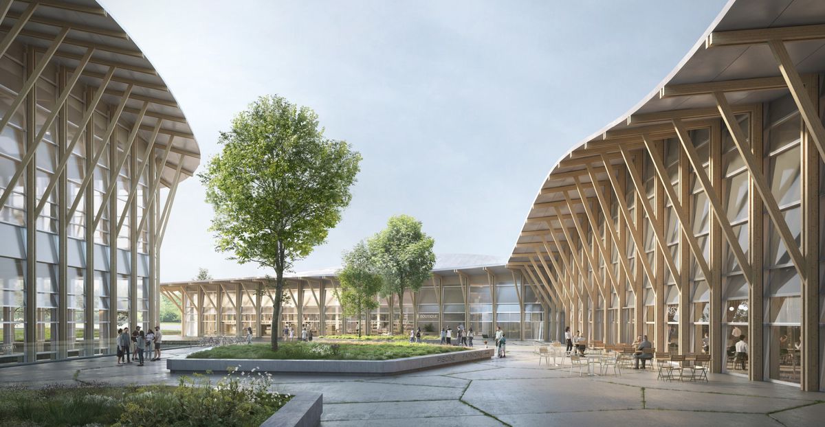 Cour intérieure moderne avec des structures en bois incurvées et des arbres verts, sous un ciel clair.