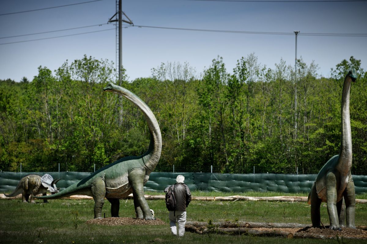 Genève, 14 mai 2019. Versoix. Cynodrome, une grande exposition sur les dinosaures est en train de s'installer. Photo: Laurent Guiraud