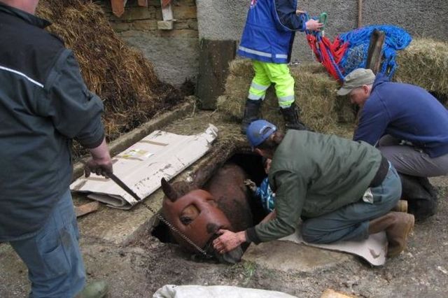 Le GTRD a comme modèle le numéro d'appel d'urgence 144 ou la Rega, explique Ruedi Keller, du centre GTRD d'Embrach (ZH).