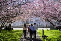 Pourquoi le printemps ne commence pas toujours le 21 mars?