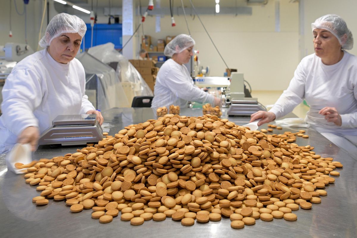 Travailleuses dans le secteur emballage de la biscuiterie Agathe à Villeneuve, entourées de biscuits sur une table.