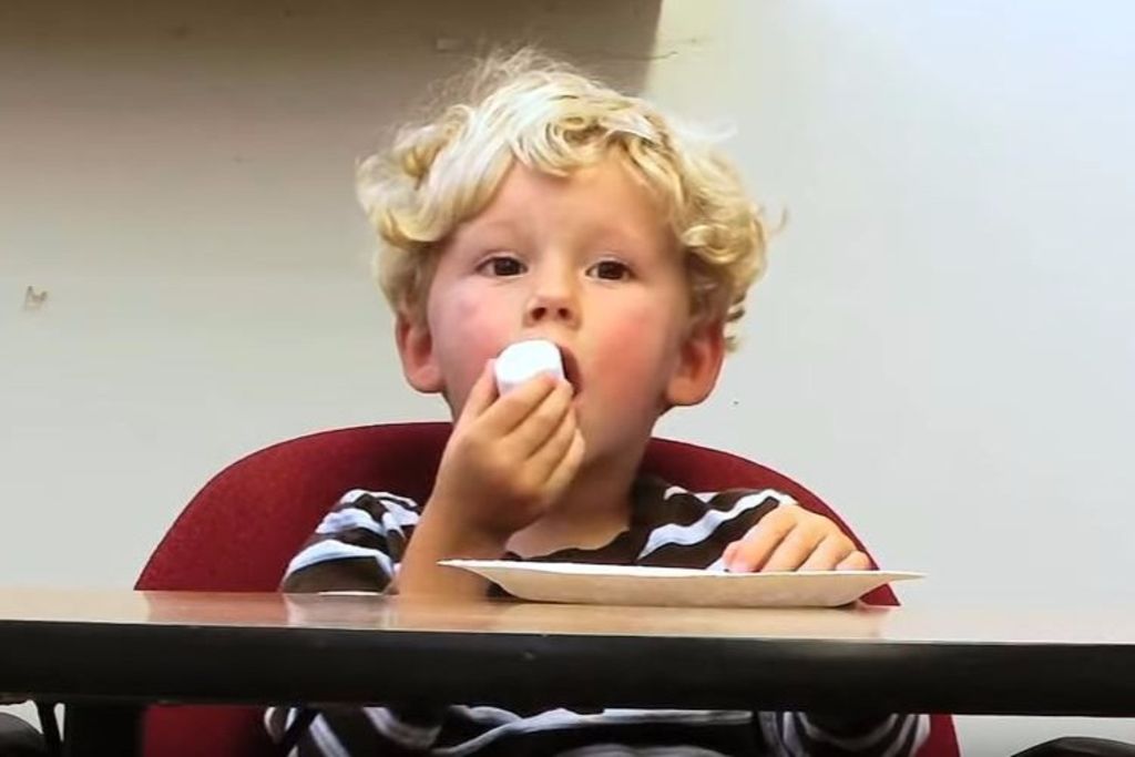 Weshalb die meisten den MarshmallowTest nicht bestehen TagesAnzeiger