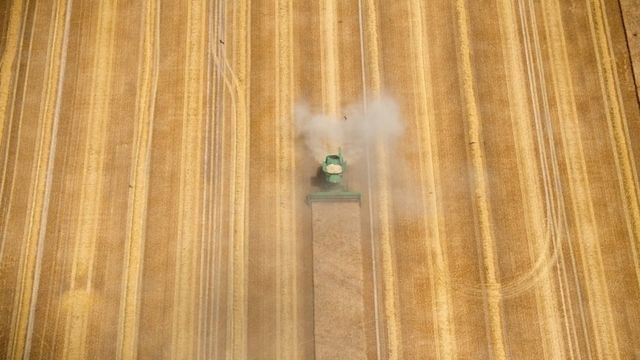 Ein Mähdrescher fährt über ein fast abgeerntetes Getreidefeld.