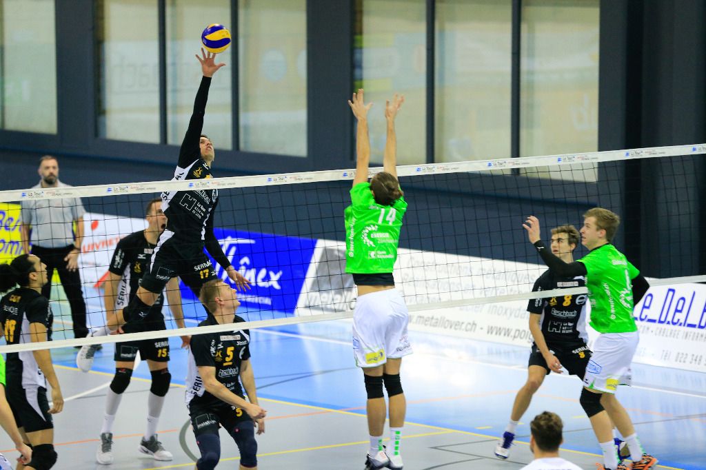 Un pigeon voyageur a fait son nid à Sous-Moulin!