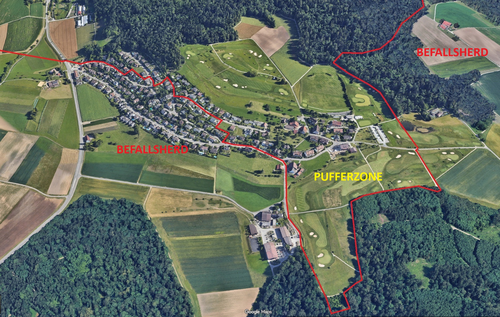 Neue Auflagen wegen Japankäfer: Halbes Dorf darf Rasen nicht mehr wässern, angrenzender Golfplatz aber schon