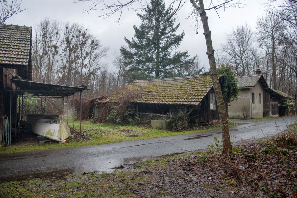 YVONAND LE 28 JANVIER 2021. Colère à Yvonand: le Canton veut faire raser cinq chalets de plaisance, le Village de pêcheurs et - au moins - régulariser la situation du refuge communal, tous ces bâtiments datant des années 1960 se trouvant en zone forestière. Photo: Le village de pêcheurs.  ©  (24 HEURES /Jean-Paul Guinnard)