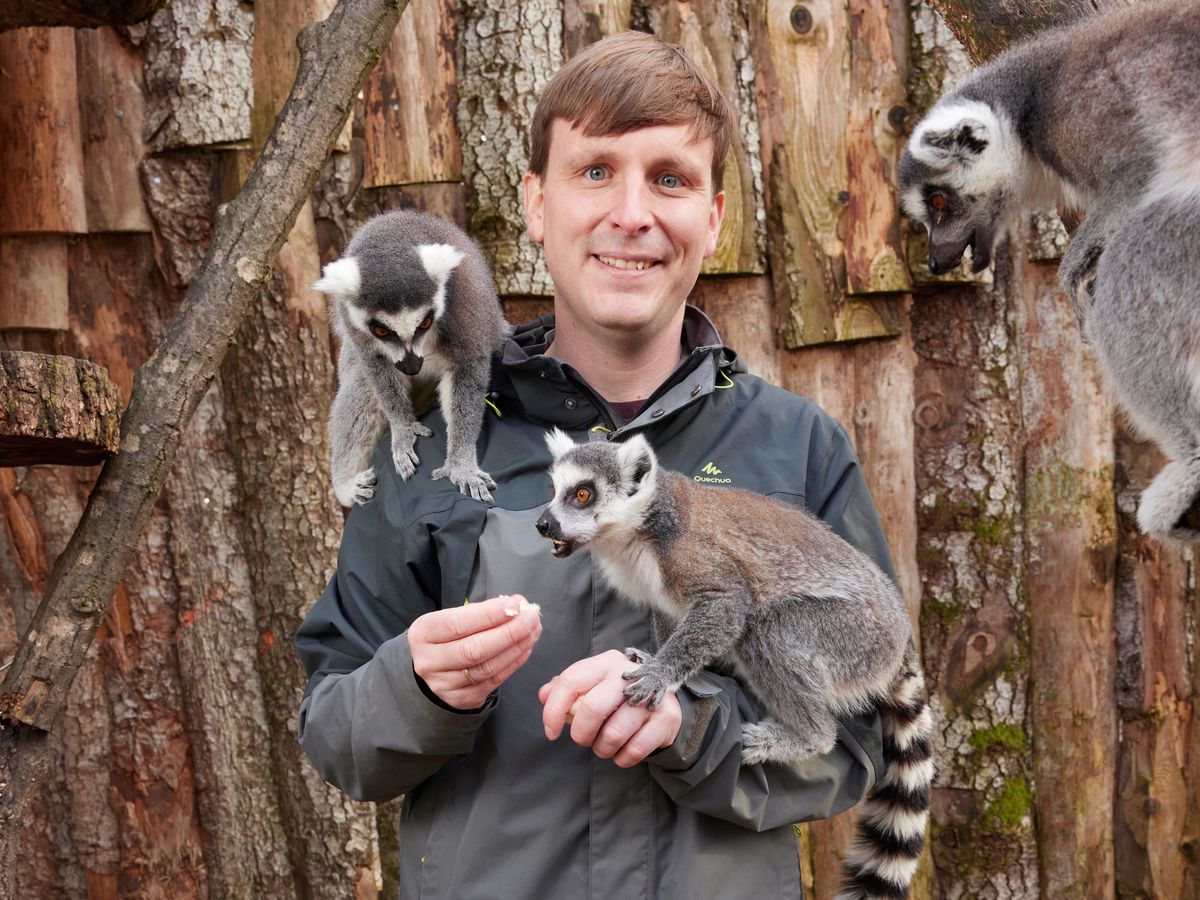 Tobias Blaha et ses lémuriens du Bioparc.   