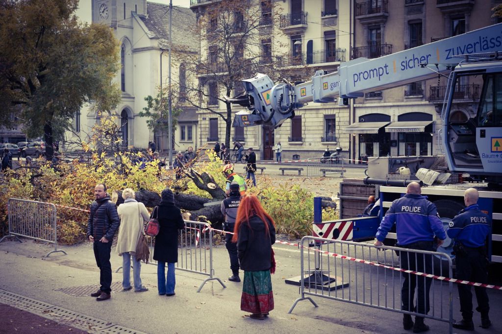La police protège les bûcherons à Plainpalais