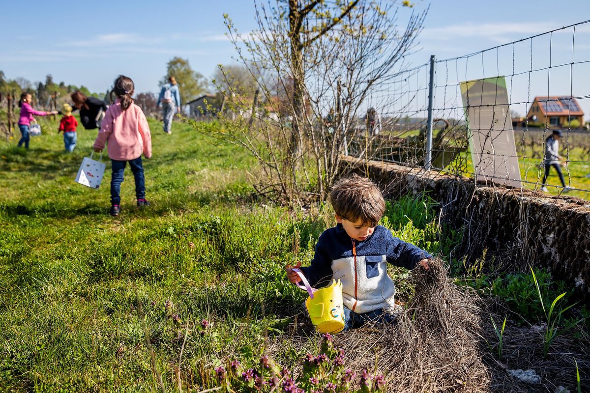 Dans la nature et sous un soleil radieux, les enfants ont cherché activement les œufs de Pâques cachés dans le domaine des Vignolles.