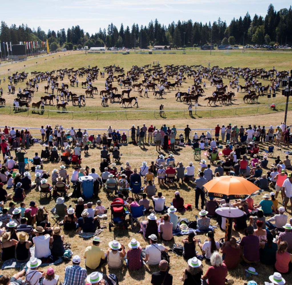 Fête du cheval à Saignelégier