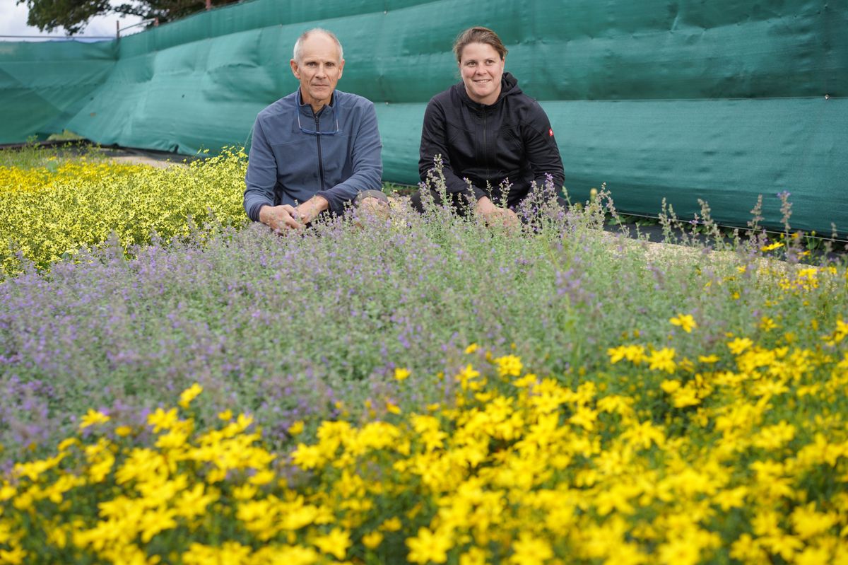 Meyrin, le 28 août 2023 - Tribune Terroir. Lucie Wertz et Remy Abbt au milieu de leurs fleurs de saison.