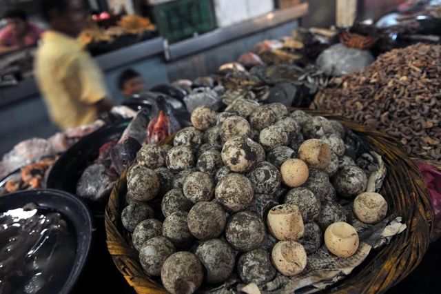 Depuis 1992, l'armée assure une surveillance pendant la période de ponte, pour éviter les vols d’œufs, très appréciés sur les marchés au Nicaragua.