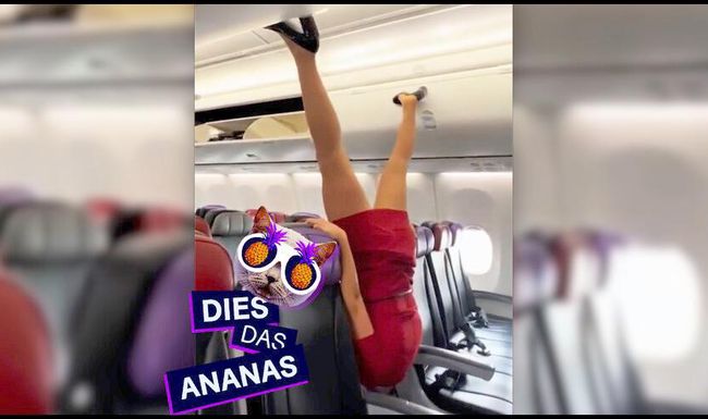 Jetzt stehen wir wieder Kopf!