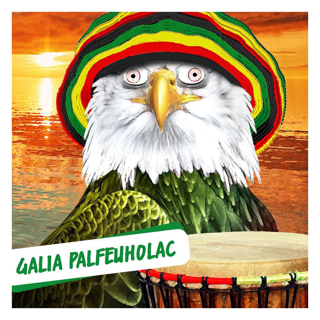 Une illustration d'un aigle portant un chapeau rasta aux couleurs rouge, vert et jaune, avec un tambour en premier plan au coucher du soleil, et le texte 'GALIA PALFEUHOLAC' en bas à gauche.