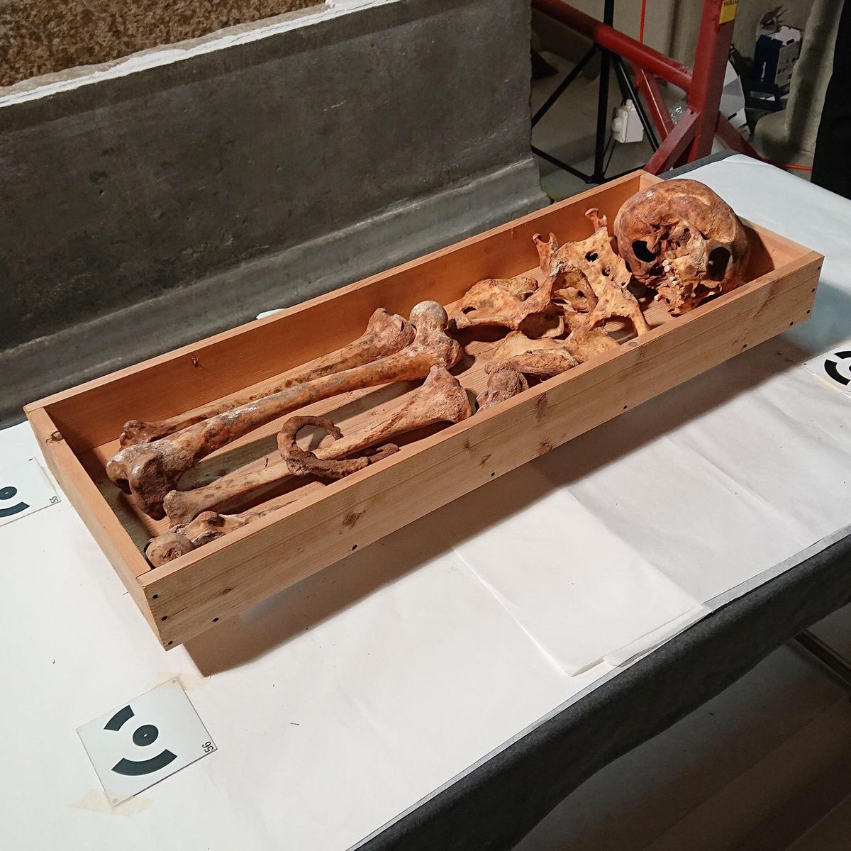 Reine Berthe Payerne
-Ouverture du tombeau par les ouvriers de WALO
-ossements dans leur caissette
-tombeau ouvert avec le sarcophage en grès coquiller de la Molière apparent et la caissette d'os emballée dedans.