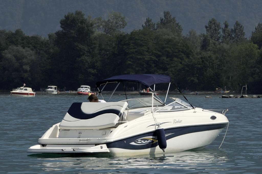 Illustration d’un bateau a moteur.