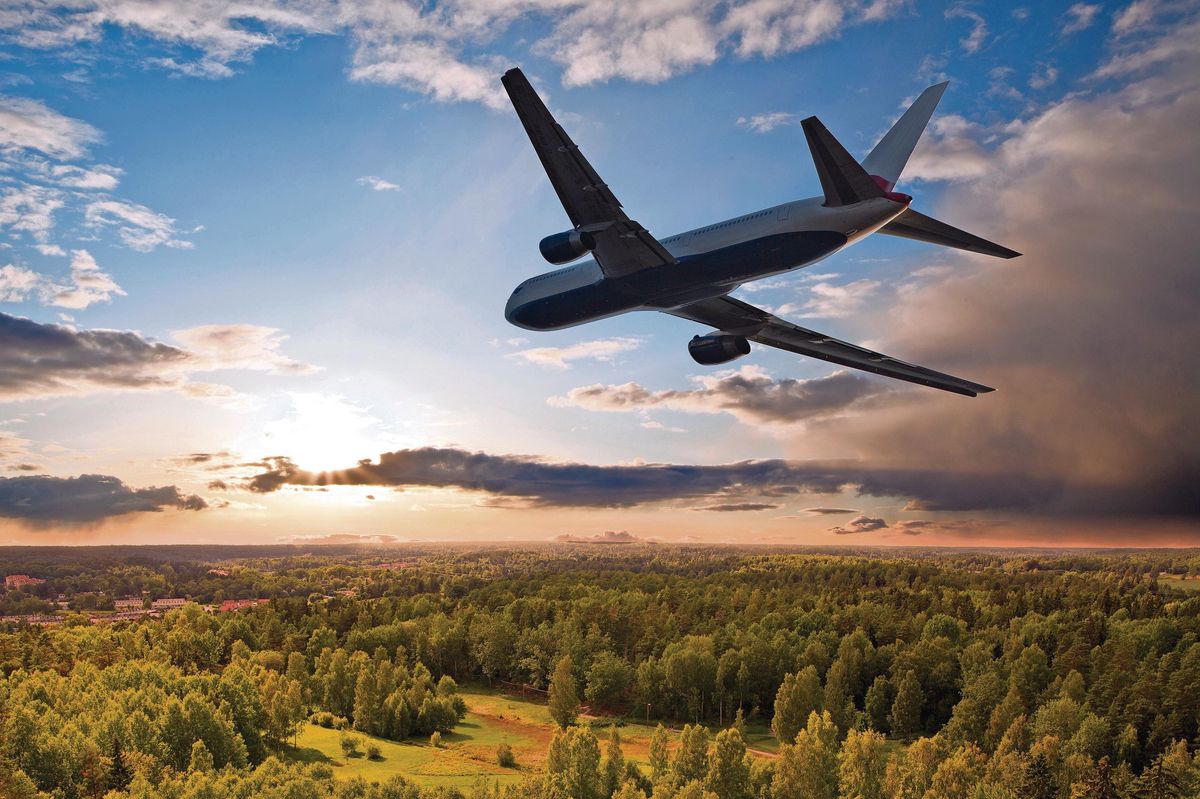 La lutte contre la déforestation se base sur des «scénarios de référence», par essence invérifiables au moment où sont vendus les crédits carbone.