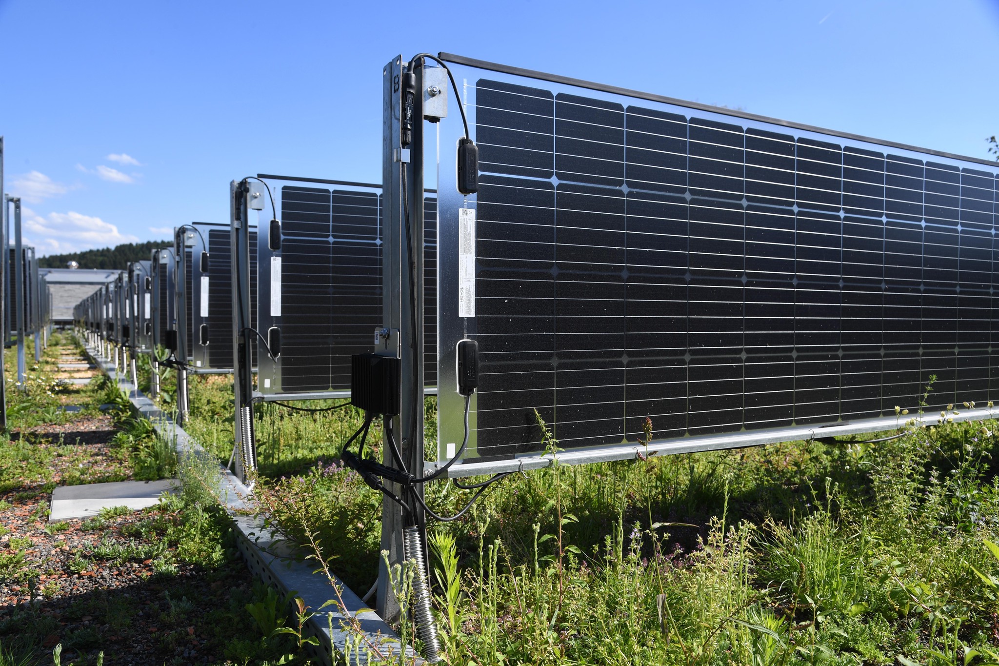 Auf dem Dach der ehemaligen Mattenbach-Druckerei stehen die Solarpanele hochkant, darunter spriesst das Grün.