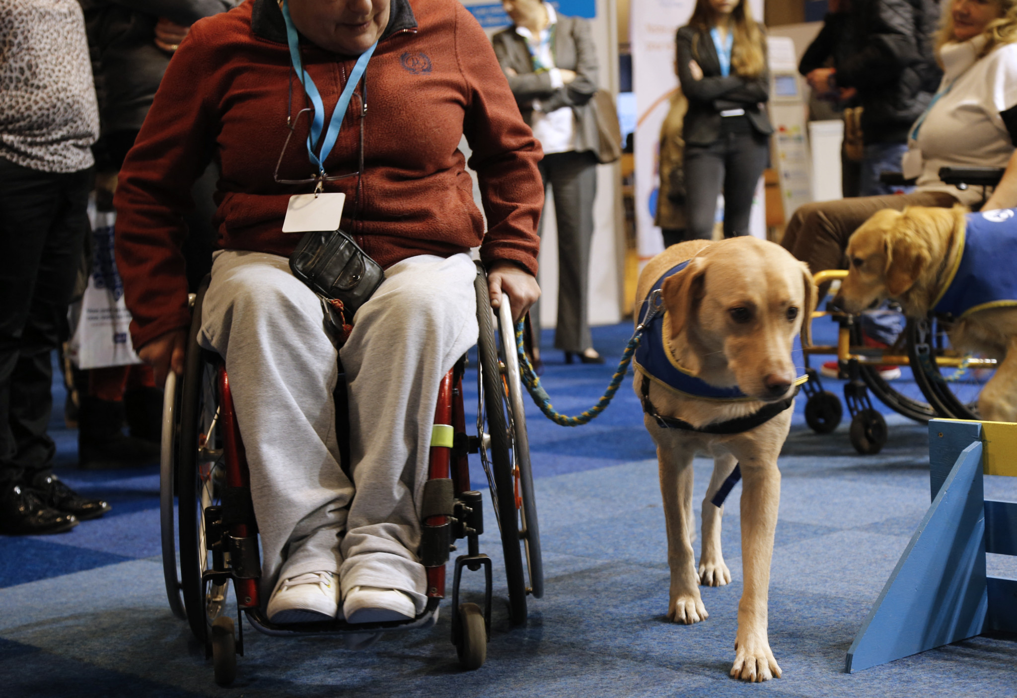 Aéroport de Genève: Une Romande et son chien d’assistance bloqués cinq heures faute de muselière