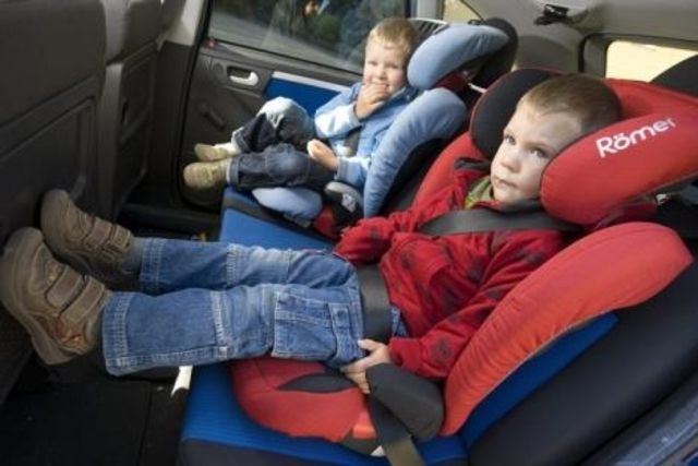 Les bactéries salmonelles et E.coli sont responsables d’intoxications alimentaires.