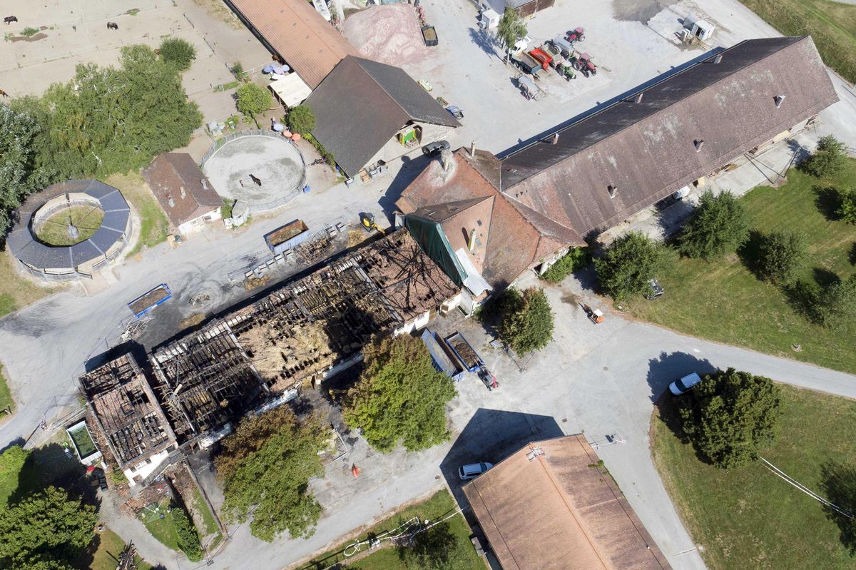 Le sinistre du Haras d’Avenches était le plus spectaculaire: deux vastes bâtisses avaient été détruites et 23 équidés avaient été brûlés vifs.