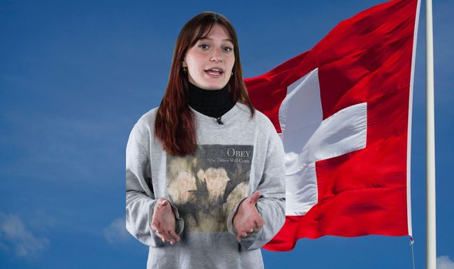 Mann missbraucht Schweizer Wappen – Gericht verurteilt ihn