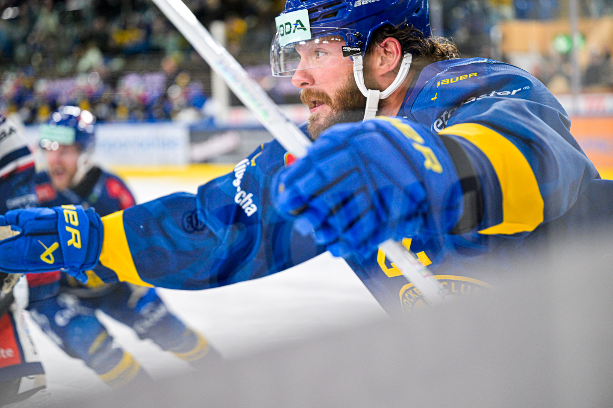 Brendan Lemieux (HC Davos) bejubelt sein 2:1-Tor im 5. Playoff-Halbfinalspiel gegen die ZSC Lions in der zondacrypto-Arena in Davos.