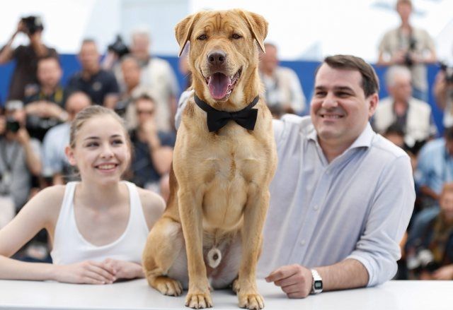 Le réalisateur hongrois Kornel Mundruczo et sa «star», sacrée chien le plus expressif de Cannes.