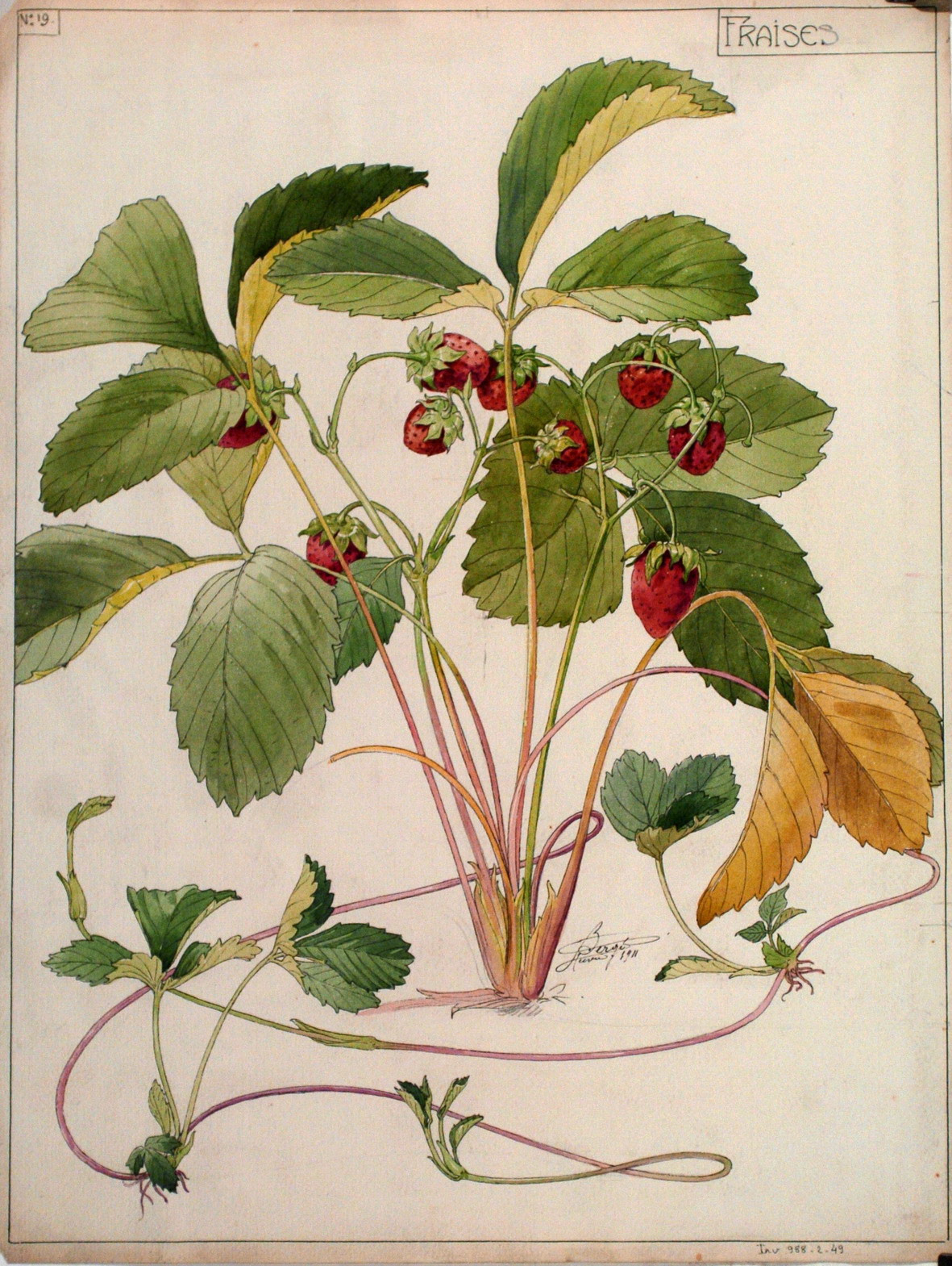 La fraise, Kim Basinger et Louis XV
