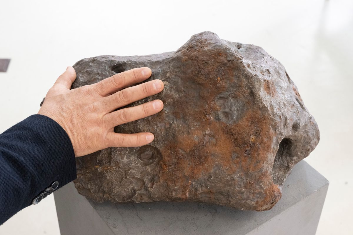 Lausanne, le 15 MAI 2024, une météorite de 100 kgs sera mise aux enchères le 4 juin chez Dogny Auction. Ici, Marc Dogny, commissaire-priseur. ©Florian Cella/24h