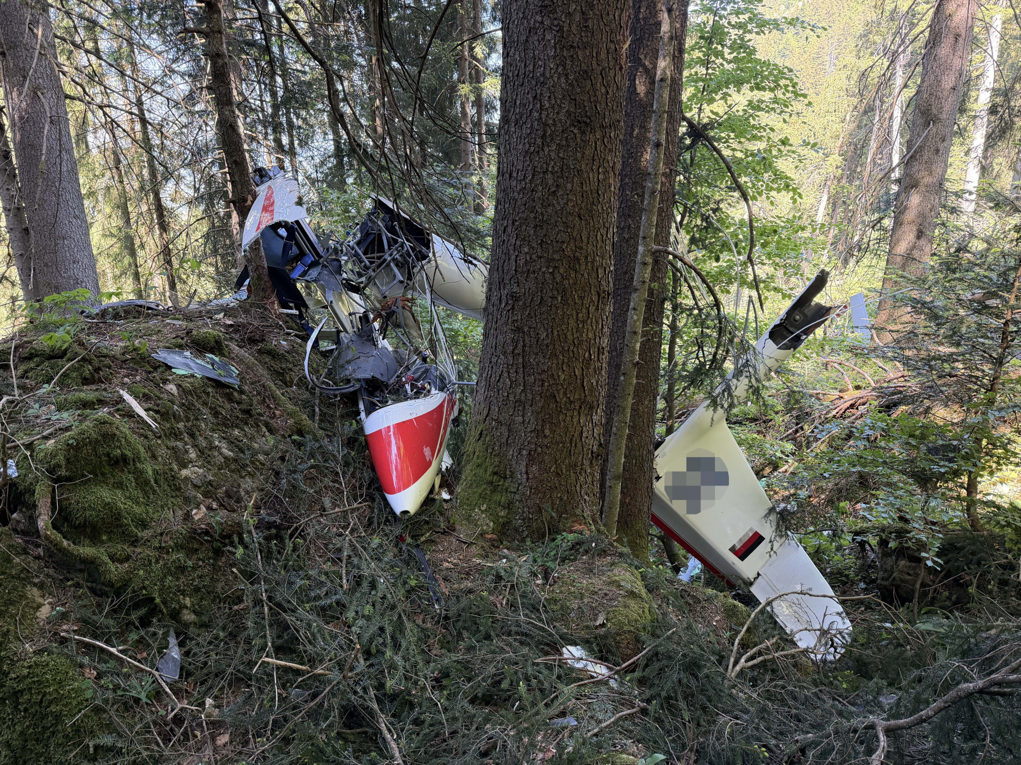 Flugunfall bei Reichenburg: Segelflugzeug stürzt in Wald – Pilot kommt ums Leben