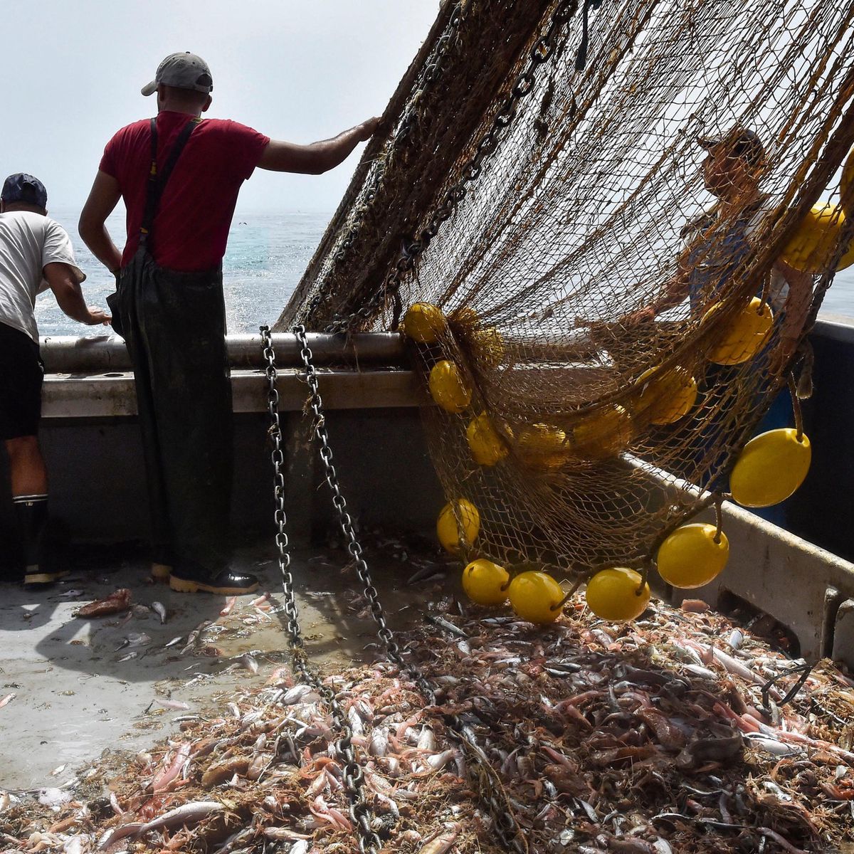 Des pêcheurs remontent les filets à bord du chalutier "Edouard François" au large de Port-la-Nouvelle, France, le 11 août 2021. Des poissons sont visibles sur le pont du bateau.