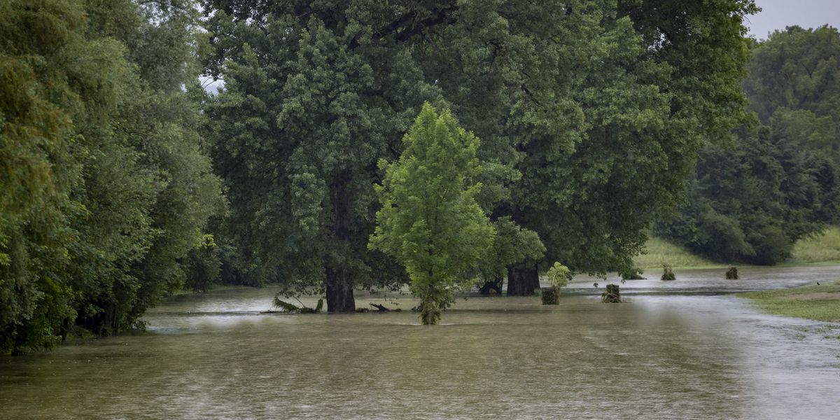 Hochwassersituation an der Thur am Samstag, 1. Juni 2024, bei Uesslingen. (KEYSTONE/Christian Merz)