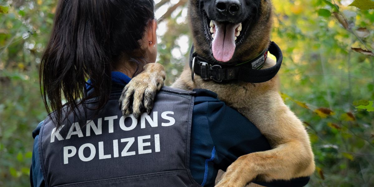 Brugg AG: Service dog apprehends suspected copper thieves