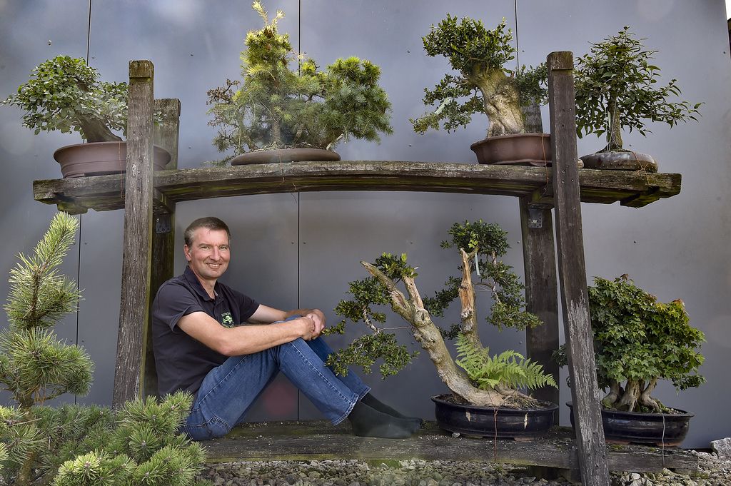 bonsai gutschein Green Home Bonsai Bundle