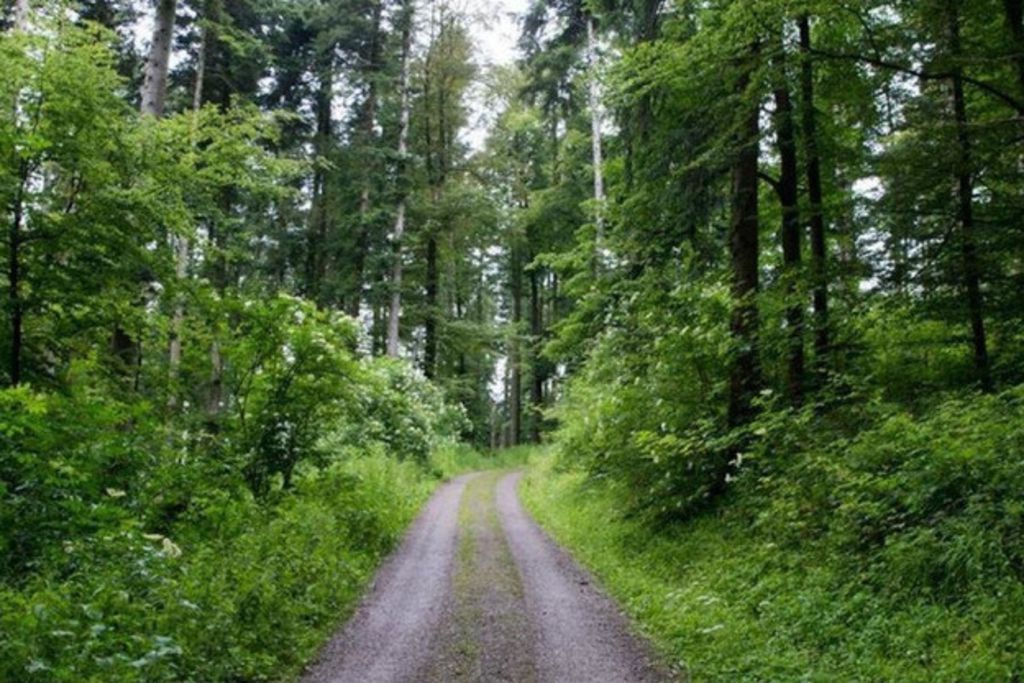 Un tracteur se retourne et tue son conducteur